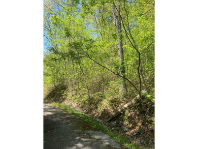 Lake Glenville Lot For Sale in Cullowhee North Carolina