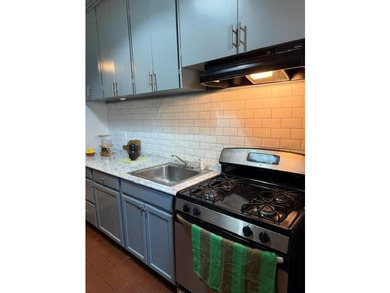 Beautiful condo at the heart of Park slope, 2-3 bedrooms, 2 full - photo 6