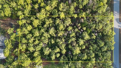 DREAM HOME LOT OPPORTUNITY!! 1.25 ACRE GEM IN BONITA SPRINGS - photo 12