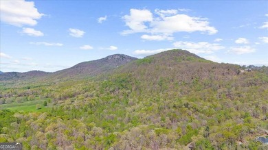 ONLY LAKEFRONT LOT CURRENTLY AVAILABLE IN LAKE LACEOLA | APPROX - photo 12