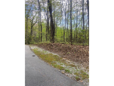 Hogback Lake Lot For Sale in Sapphire North Carolina