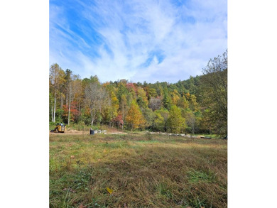 (private lake, pond, creek) Acreage For Sale in Del Rio Tennessee