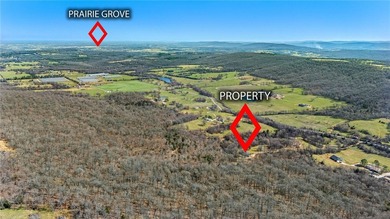 Ozark Mountain retreat on 42 +/- acres just outside Prairie - photo 34