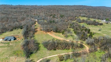 Ozark Mountain retreat on 42 +/- acres just outside Prairie - photo 35