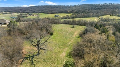Ozark Mountain retreat on 42 +/- acres just outside Prairie - photo 36
