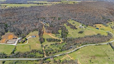 Ozark Mountain retreat on 42 +/- acres just outside Prairie - photo 40