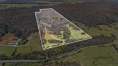 Ozark Mountain retreat on 42 +/- acres just outside Prairie - photo 41