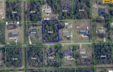 Lake Lot Sale Pending in Orlando, Florida