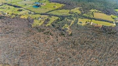 Ozark Mountain retreat on 42 +/- acres just outside Prairie - photo 42