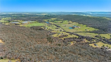 Ozark Mountain retreat on 42 +/- acres just outside Prairie - photo 44