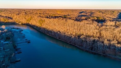 BUILD YOUR DREAM HOME ON BEAUTIFUL SHOAL CREEK! THIS PROPERTY - photo 3