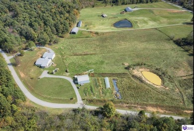 (private lake, pond, creek) Home For Sale in Fordsville Kentucky