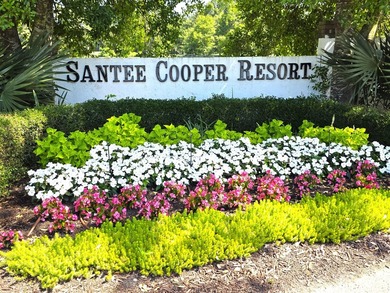 Lake Marion Gated Golf Community offers home viewing Lake - photo 2