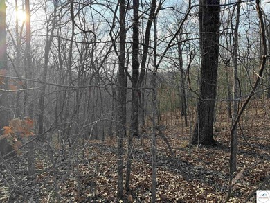 Discover the perfect blend of privacy, nature, and breathtaking - photo 2
