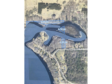 Lake 28 Lot For Sale in Remus Michigan