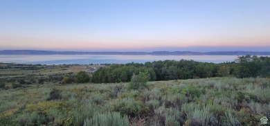 Lake Acreage For Sale in Fish Haven, Idaho
