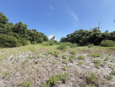 Build your dream beach home just steps from the Gulf! This - photo 3