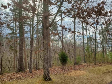 Lake Lot For Sale in Savannah, Tennessee