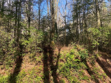 Welcome to Whisper Lake! This gently rolling lot will be the - photo 3