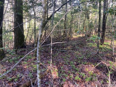 Welcome to Whisper Lake! This gently rolling lot will be the - photo 5