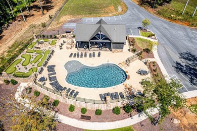 Lot 63 The Falls at Lake Sinclair Discover the perfect setting - photo 15