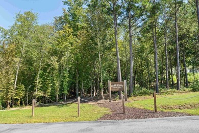 Lot 63 The Falls at Lake Sinclair Discover the perfect setting - photo 19