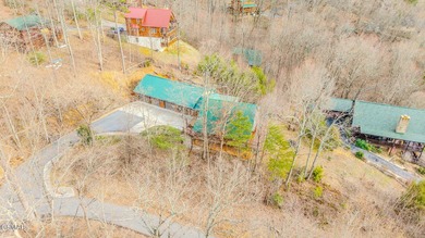 + 2 BONUS ROOMS!!!! A truly rare Wears Valley mountain retreat - photo 49