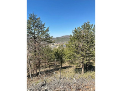 Table Rock Lake - Carroll County Lot For Sale in Holiday Island Arkansas