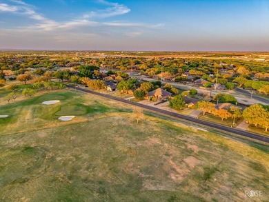 Beautifully updated home in the highly desirable San Angelo - photo 59