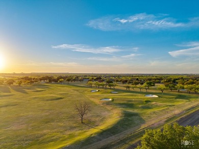 Beautifully updated home in the highly desirable San Angelo - photo 60