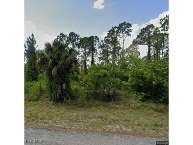 Lehigh Acres Area Lot For Sale in Lehigh Acres Florida