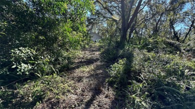 Lake Acreage For Sale in Palm Harbor, Florida