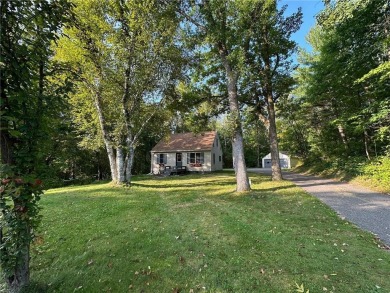 Lake Home For Sale in Walker, Minnesota