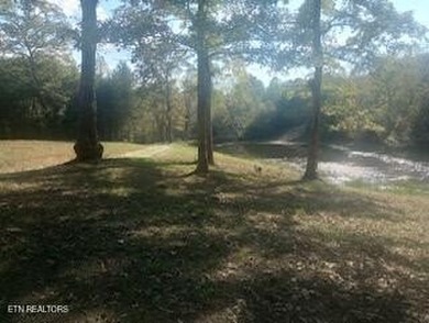 (private lake, pond, creek) Acreage For Sale in Helenwood Tennessee