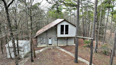 Lake Home For Sale in Mena, Arkansas