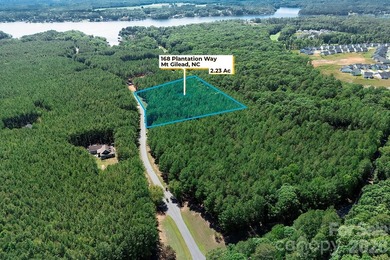 Discover the perfect setting for your custom lake-area home on - photo 4
