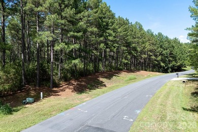 Discover the perfect setting for your custom lake-area home on - photo 8