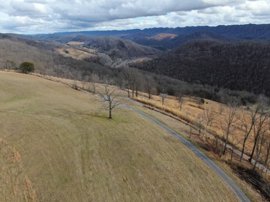 Clinch River - Hancock County Acreage For Sale in Eidson Tennessee
