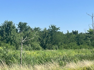 (private lake, pond, creek) Lot For Sale in Warrenville Illinois