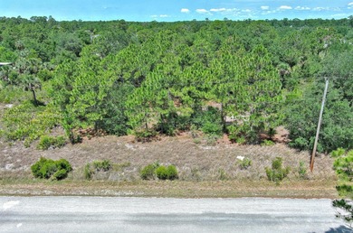 Lehigh Acres Area Lot For Sale in Lehigh Acres Florida