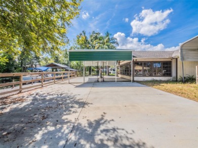 Lake Home For Sale in Astor, Florida