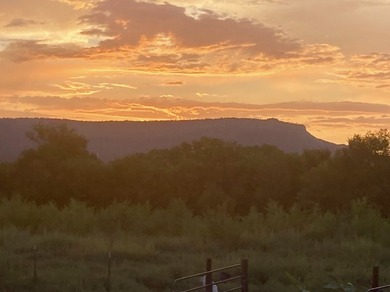 Verdant farmstead with 450 feet of Pecos River frontage and 3 - photo 3