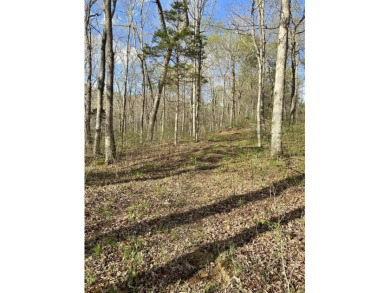 Lake Cumberland Acreage For Sale in Monticello Kentucky