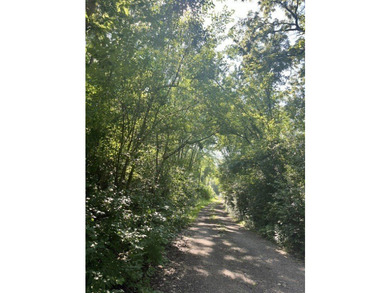 (private lake, pond, creek) Home For Sale in Warrenville Illinois
