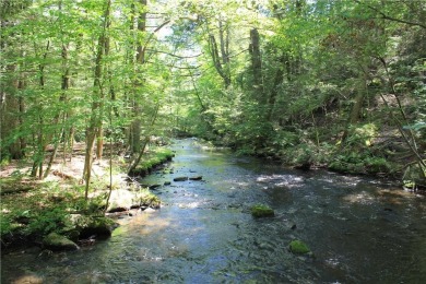 (private lake, pond, creek) Acreage For Sale in Pound Ridge New York