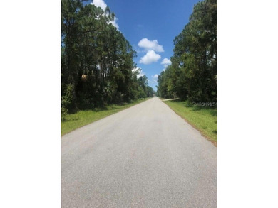 BUILD YOUR DREAM OASIS IN NORTH PORT - PRIVATE AND FAST TRACK - photo 11