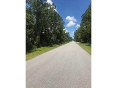BUILD YOUR DREAM OASIS IN NORTH PORT - PRIVATE AND FAST TRACK - photo 12