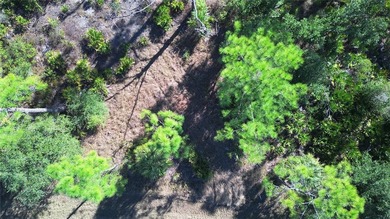 Incredible opportunity to own a residential lot in the growing - photo 13