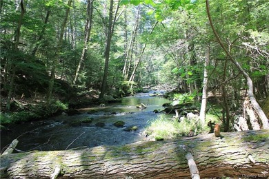 Exceptional 44-Acre Estate or Development Opportunity in Pound - photo 3