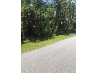 BUILD YOUR DREAM OASIS IN NORTH PORT - PRIVATE AND FAST TRACK - photo 13